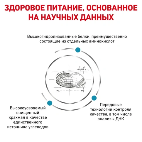 Сухой корм Royal Canin Anallergenic AN24 для взрослых кошек при тяжелой пищевой аллергии, 2 кг фото 4