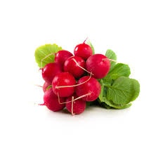 Редис пучок фото 1