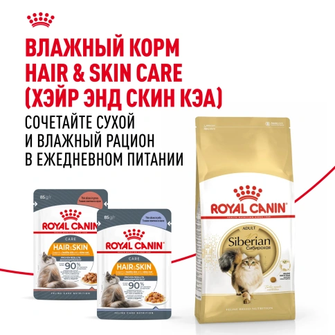 Сухой Корм Royal Canin SIBERIAN (САЙБЕРИАН)Специальное питание для кошек сибирской породы, в возрасте от 1 года и старше, 2 кг фото 8