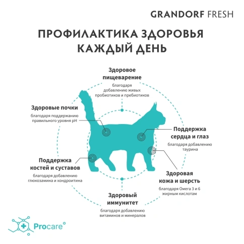 Сухой корм Grandorf Fresh Large беззерновой с ягненком и бататом для кошек крупных пород, 2 кг фото 2