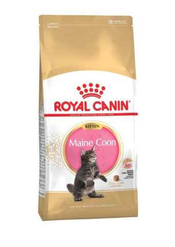 Royal Canin Maine Coon Kitten сухой корм для котят породы мейн - кун - 10 кг фото 1