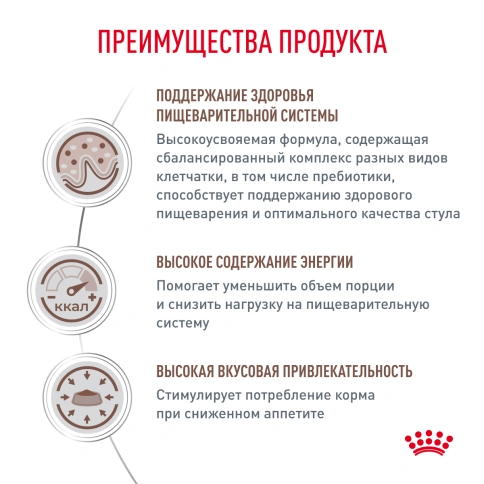 Сухой Корм Royal Canin  GASTROINTESTINAL ДИЕТА ДЛЯ КОШЕК ПРИ РАССТРОЙСТВАХ ПИЩЕВАРЕНИЯ, 2 кг фото 4