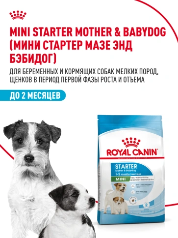 Сухой корм Royal Canin Mini Starter Mother & Babydog для щенков и кормящих сук, 1 кг фото 14