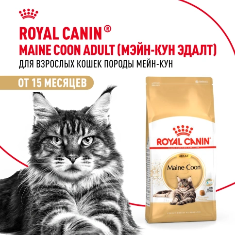 Сухой Корм Royal Canin MAINE COON (МЕЙН-КУН)Специальное питание для кошек породы мейн-кун, а также для кошек крупных размеров: сибирской,норвежской лесной и других, в возрасте от 15 месяцев и старше фото 12