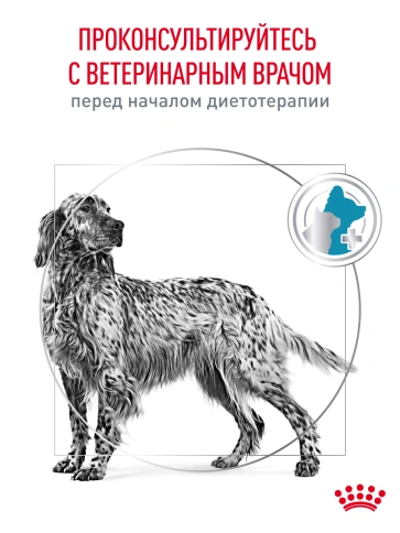 Сухой корм Royal Canin Hypoallergenic для собак, 7 кг фото 21