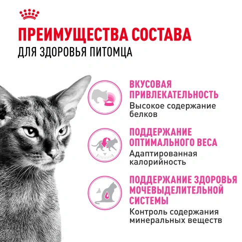 Сухой Корм Royal Canin PROTEIN EXIGENT (ПРОТЕИН ЭКСИДЖЕНТ)Питание для кошек в возрасте от 1 года до 12 лет, особенно привередливых к составу продукта фото 3