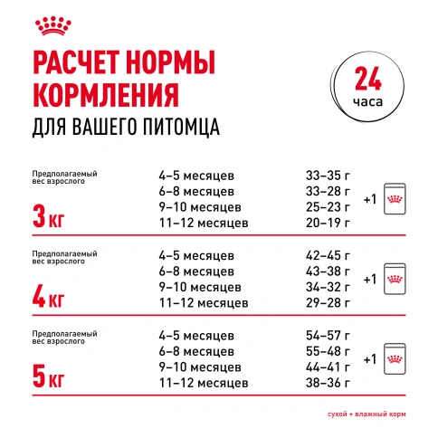 Сухой Корм Royal Canin KITTEN SPHYNX (КИТТЕН СФИНКС) Birth & GrowthСпециальное питание для кошек породы сфинкс в возрасте от 4  до 12 месяцев, 2 кг фото 9