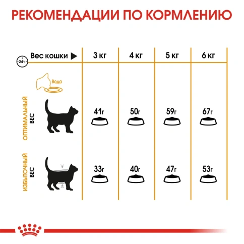 Сухой корм Royal Canin Hair & Skin Care для взрослых кошек с чувствительной кожей и проблемной шерстью, 400 г фото 6