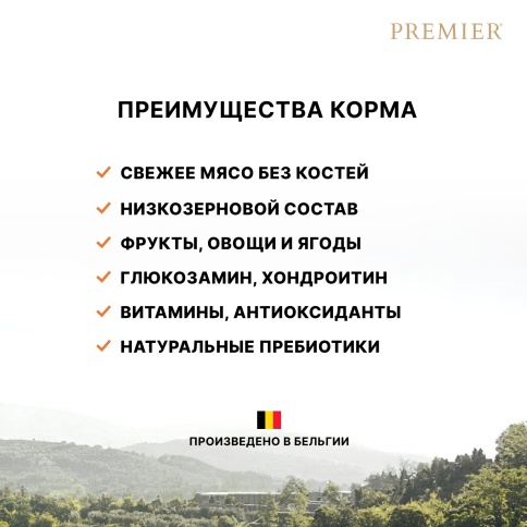 Сухой корм Premier со вкусом ягненка и индейки для взрослых кошек крупных пород, 400 г фото 2