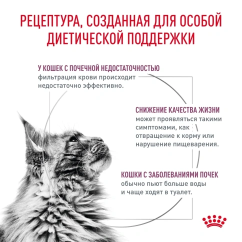 Диетический сухой корм Royal Canin Renal для кошек при заболеваниях почек, 350 г фото 2