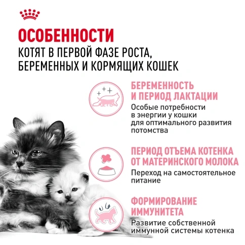 Сухой Корм Royal Canin  MOTHER AND BABYCAT (МАЗЕР ЭНД БЕБИКЭТ)Питание для котят в возрасте с 1 до 4 месяцев, а также беременных и лактирующих кошек, 4 кг фото 2