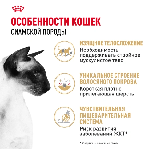 Сухой Корм Royal Canin SIAMESE (СИАМИЗ) Специальное питание для кошек сиамской породы, а также для кошек сиамо-ориентальной группы пород в возрасте от 1 года и старше, 2 кг фото 2