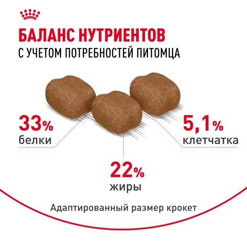 Сухой Корм Royal Canin HAIR &amp; SKIN CARE (ХЭЙР ЭНД СКИН КЭА)Питание для кошек в возрасте от 1 года и старше, обеспечивает здоровье кожи, красоту и блеск шерсти после 21 дня кормления, 2 кг фото 4