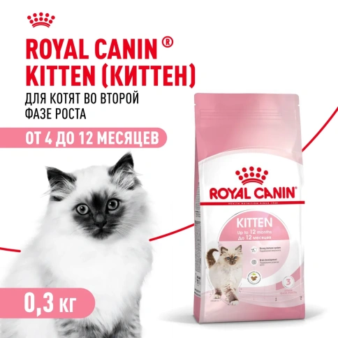 Сухой корм Royal Canin Kitten 34 для котят от 4 до 12 месяцев с птицей, 300 г фото 1