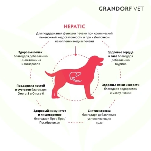 Сухой корм Grandorf Veterinary Diet Hepatic индейка для собак для поддержки функций печени, 1 кг фото 10