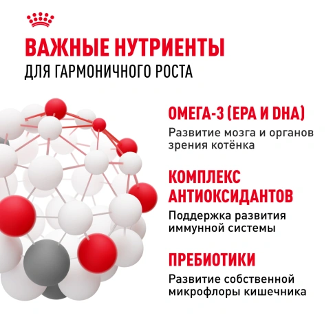 Сухой Корм Royal Canin  KITTEN (КИТТЕН) Питание для гармоничного роста котят в возрасте с 4 до 12 месяцев, 2 кг фото 5