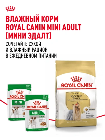 Сухой корм Royal Canin Yorkshire Terrier Adult для взрослых собак, 500 г фото 23