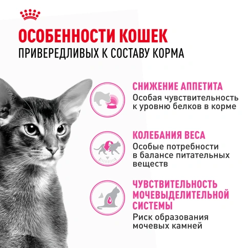 Сухой Корм Royal Canin PROTEIN EXIGENT (ПРОТЕИН ЭКСИДЖЕНТ)Питание для кошек в возрасте от 1 года до 12 лет, особенно привередливых к составу продукта фото 2
