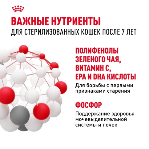Сухой корм Royal Canin Sterilised 7+ для стерилизованных кошек и кастрированных котов старше 7 лет, 3,5 кг фото 5