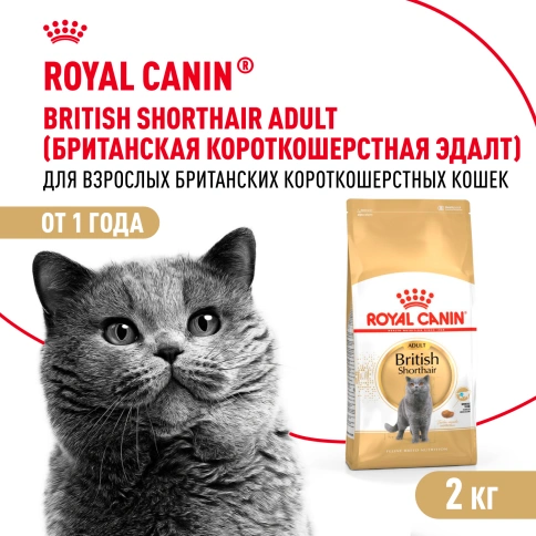 Сухой Корм Royal Canin BRITISH SHORTHAIR (БРИТИШ ШОРТХЭЙР)Специальное питание для кошек породы британская короткошерстная, а также для кошек породы шотландская вислоухая в возрасте от 1 года и старше, 2 кг фото 1
