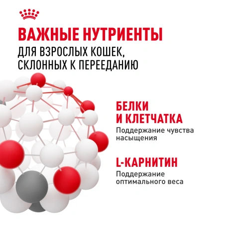 Влажный корм Royal Canin Appetite Control Care в соусе для взрослых кошек, для контроля выпрашивания корма, пауч, 85 г фото 5