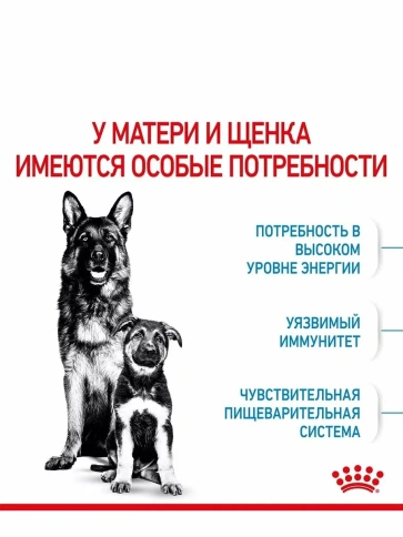 Сухой корм Royal Canin Maxi Starter Mother & Babydog для собак, 18 кг фото 3