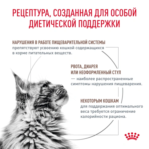 Сухой Корм Royal Canin  GASTROINTESTINAL MODERATE CALORIE ДИЕТА ДЛЯ КОШЕК, СКЛОННЫХ К НАБОРУ ВЕСА, ПРИ РАССТРОЙСТВАХ ПИЩЕВАРЕНИЯ, 2 кг фото 3
