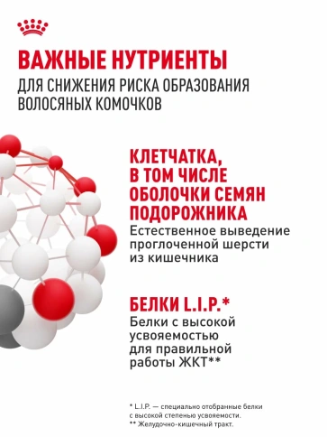 Сухой корм Royal Canin Hairball Care для взрослых кошек, для выведения волосяных комочков, 2 кг фото 5
