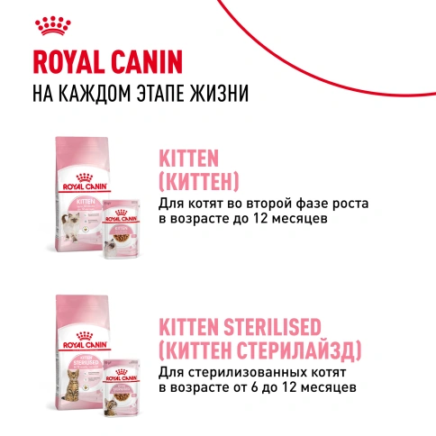 Сухой Корм Royal Canin  MOTHER AND BABYCAT (МАЗЕР ЭНД БЕБИКЭТ)Питание для котят в возрасте с 1 до 4 месяцев, а также беременных и лактирующих кошек, 4 кг фото 9