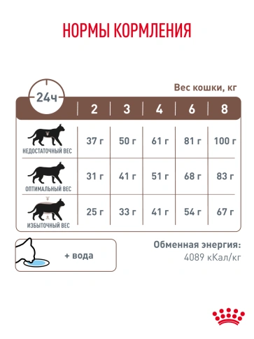 Сухой Корм Royal Canin  GASTROINTESTINAL ДИЕТА ДЛЯ КОШЕК ПРИ РАССТРОЙСТВАХ ПИЩЕВАРЕНИЯ, 2 кг фото 27