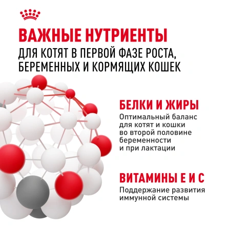 Сухой Корм Royal Canin MOTHER AND BABYCAT (МАЗЕР ЭНД БЕБИКЭТ)Питание для котят в возрасте с 1 до 4 месяцев, а также беременных и лактирующих кошек фото 5