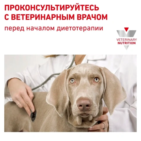 Сухой корм Royal Canin Anallergenic AN18 для взрослых собак при тяжелой пищевой аллергии, 8 кг фото 7