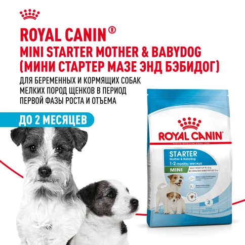 Сухой корм Royal Canin Mini Starter Mother & Babydog для щенков и кормящих сук, 3 кг фото 13