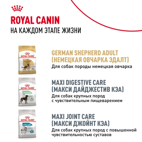 Сухой корм Royal Canin German Shepherd Puppy для щенков, 3 кг фото 9