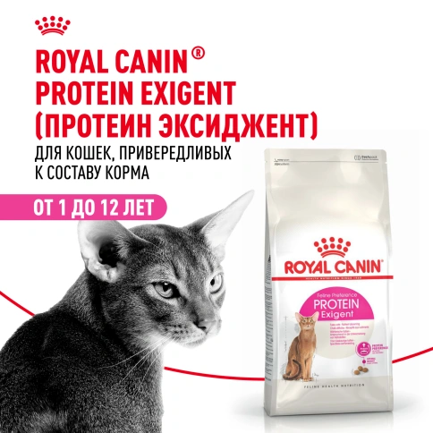 Сухой Корм Royal Canin PROTEIN EXIGENT (ПРОТЕИН ЭКСИДЖЕНТ)Питание для кошек в возрасте от 1 года до 12 лет, особенно привередливых к составу продукта фото 12
