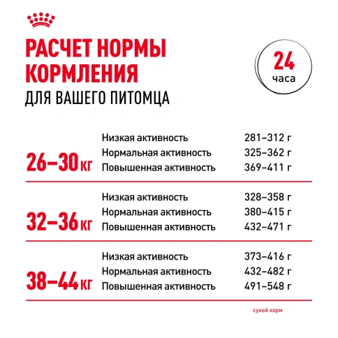 Сухой корм Royal Canin Maxi Ageing 8+ для собак, 15 кг фото 9