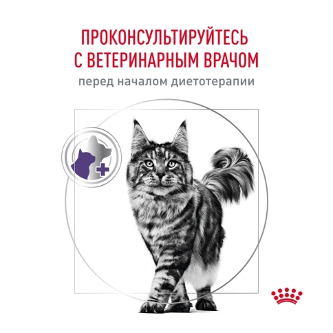 Влажный корм Royal Canin Neutered Balance для стерилизованных кошек и кастрированных котов до 7 лет, кусочки в соусе, пауч, 85 г фото 10