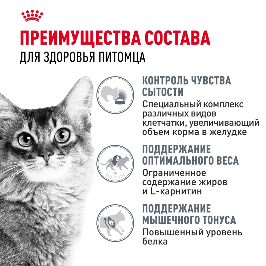 Влажный корм Royal Canin Light Weight Care в соусе для взрослых кошек, склонных к полноте, пауч, 85 г фото 3