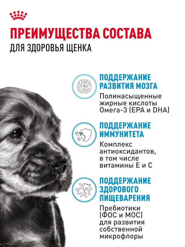 Сухой корм Royal Canin Mini Puppy для щенков, 2 кг фото 21