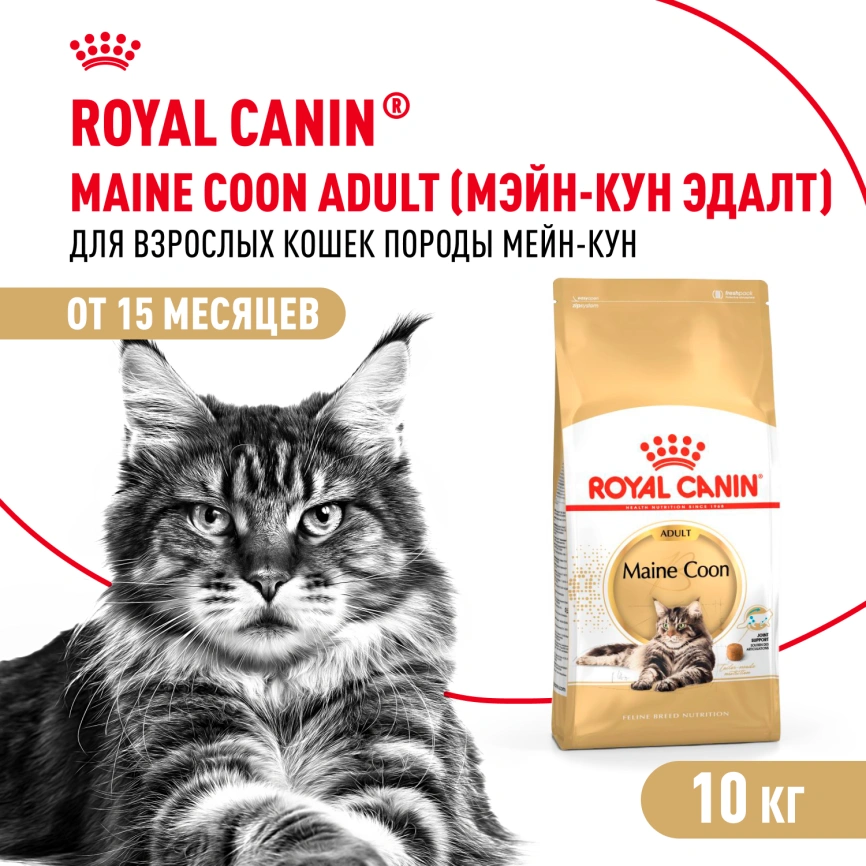 Сухой корм Royal Canin Maine Coon для кошек, 10 кг фото 1