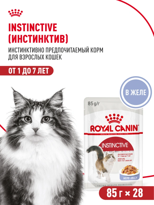 Влажный корм Royal Canin Instinctive в желе для взрослых кошек старше 1 года, пауч, 85 г фото 14