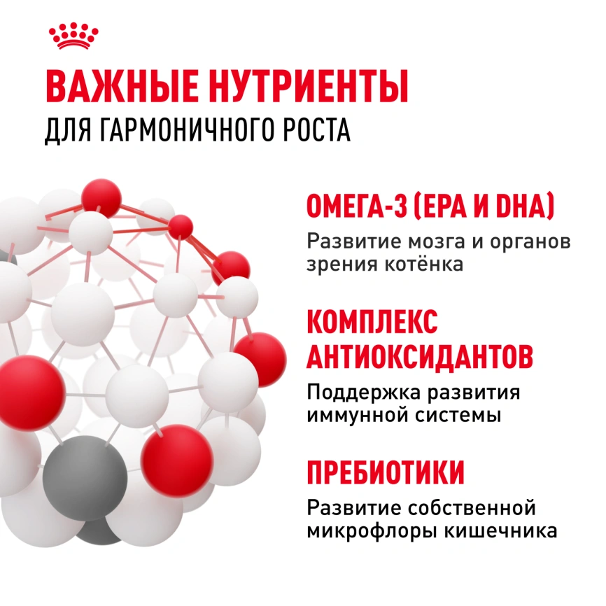 Сухой корм Royal Canin Kitten для котят, 300 г фото 6