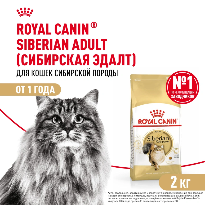 Сухой корм Royal Canin Siberian для кошек, 2 кг фото 1