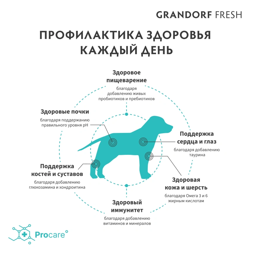 Сухой корм Grandorf Fresh Dog для юниоров средних и крупных пород беременных и кормящих собак беззерновой ягненок с бататом 3 кг фото 4