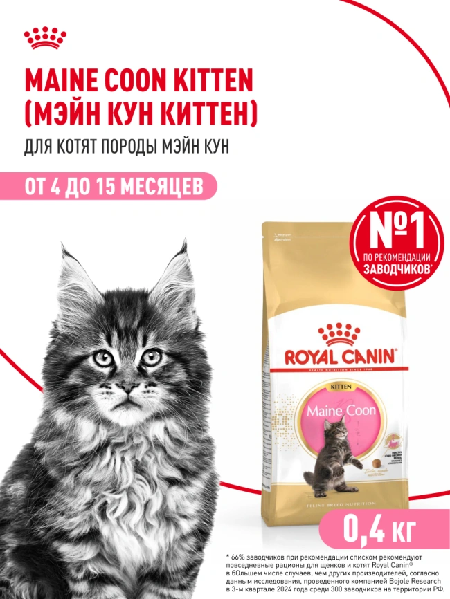 Сухой корм Royal Canin Kitten Maine Coon для котят, 400 г фото 12