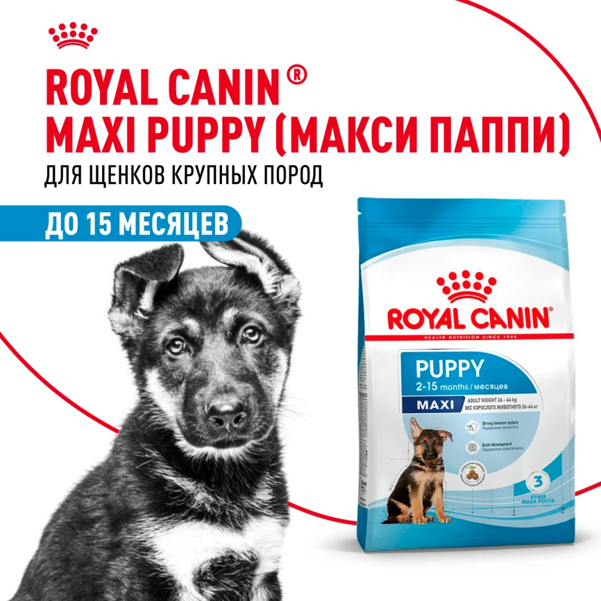Сухой корм Royal Canin Maxi Puppy для щенков, 3 кг фото 11