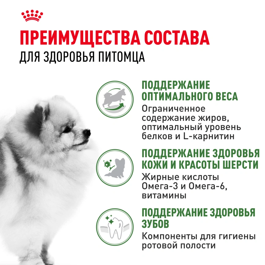 Сухой корм Royal Canin Mini Indoor Adult для собак, 10 кг фото 4