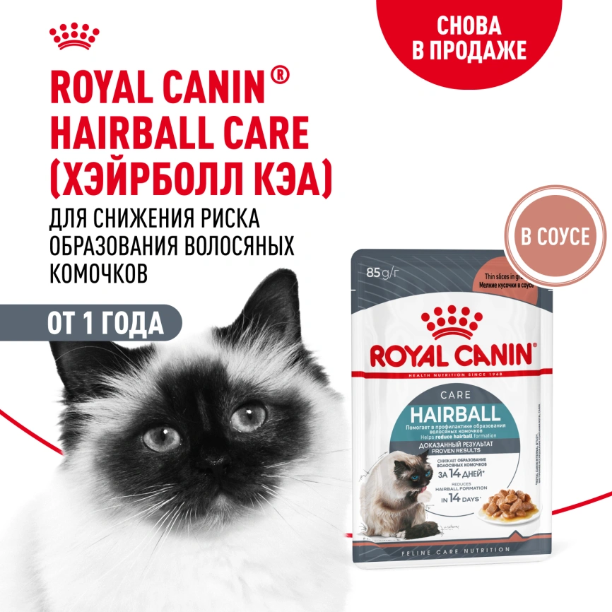 Влажный корм Royal Canin Hairball Care в соусе для взрослых кошек, для выведения волосяных комочков, пауч, 85 г фото 1