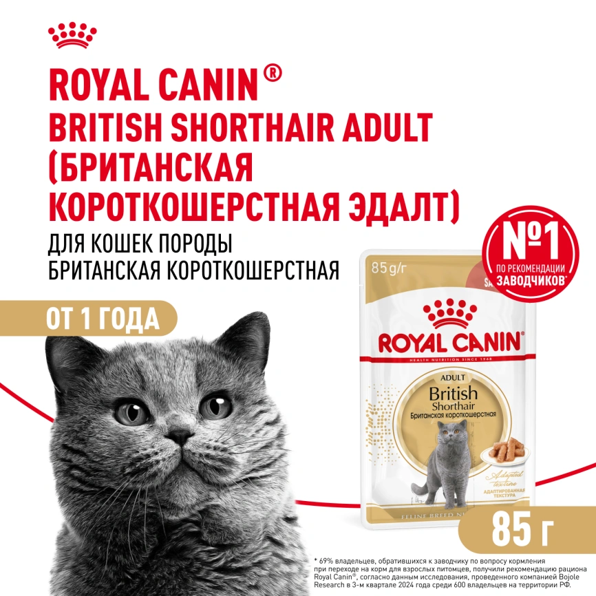 Влажный корм Royal Canin British Shorthair в соусе для кошек породы британская короткошерстная и шотландская вислоухая старше 1 года, пауч, 85 г фото 1