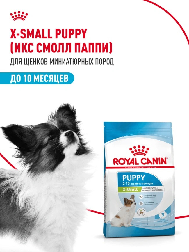 Сухой корм Royal Canin X-Small Puppy для щенков, 500 г фото 15